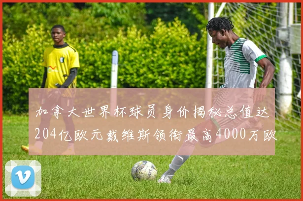 加拿大世界杯球员身价揭秘总值达204亿欧元戴维斯领衔最高4000万欧